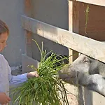 Am Jaukhof Familie Stiendl Neudorf im Sausal