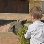 Am Jaukhof Familie Stiendl *
