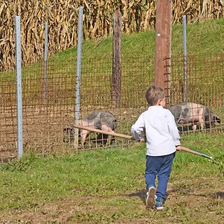 Am Jaukhof Familie Stiendl Gospodarstwo agroturystyczne *