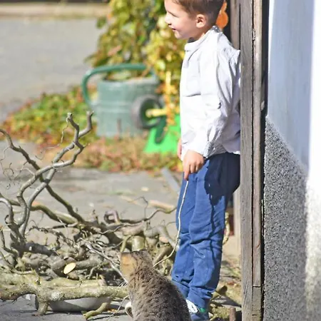 Am Jaukhof Familie Stiendl Farm stay *
