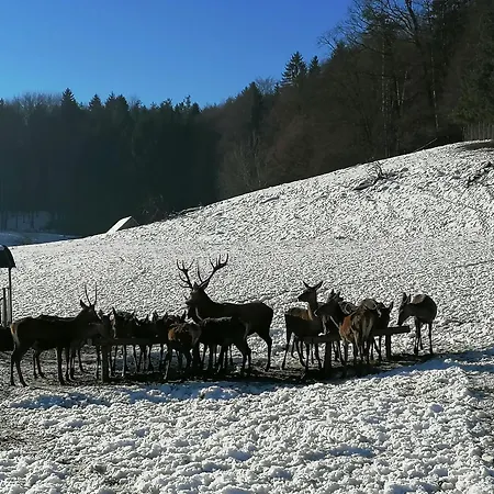 Çiftlik konaklama Am Jaukhof Familie Stiendl Neudorf im Sausal