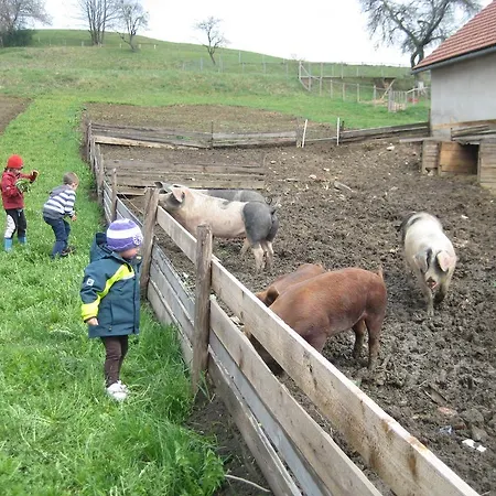 Çiftlik konaklama Am Jaukhof Familie Stiendl