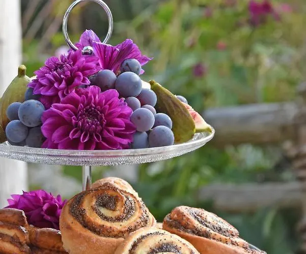 Am Jaukhof Familie Stiendl Lantgård Neudorf im Sausal