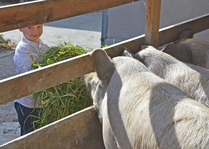 Am Jaukhof Familie Stiendl Gospodarstwo agroturystyczne *