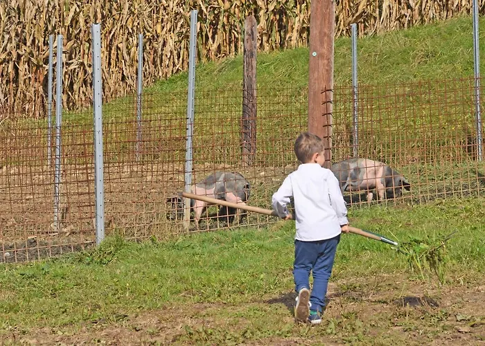 Am Jaukhof Familie Stiendl Gospodarstwo agroturystyczne *