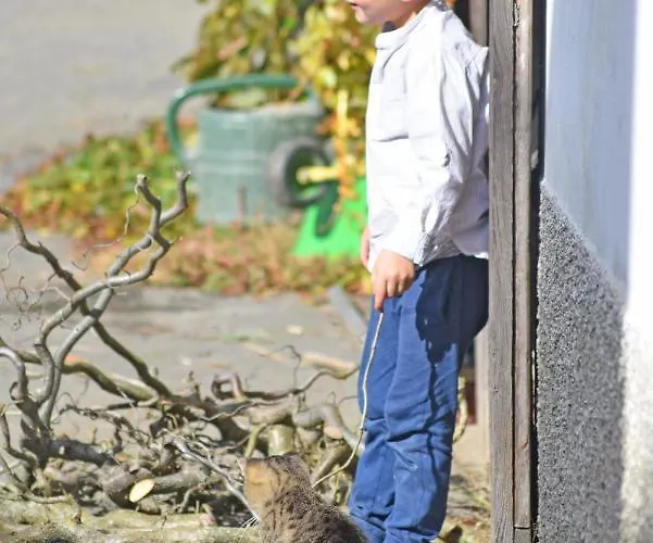 Am Jaukhof Familie Stiendl Lantgård *