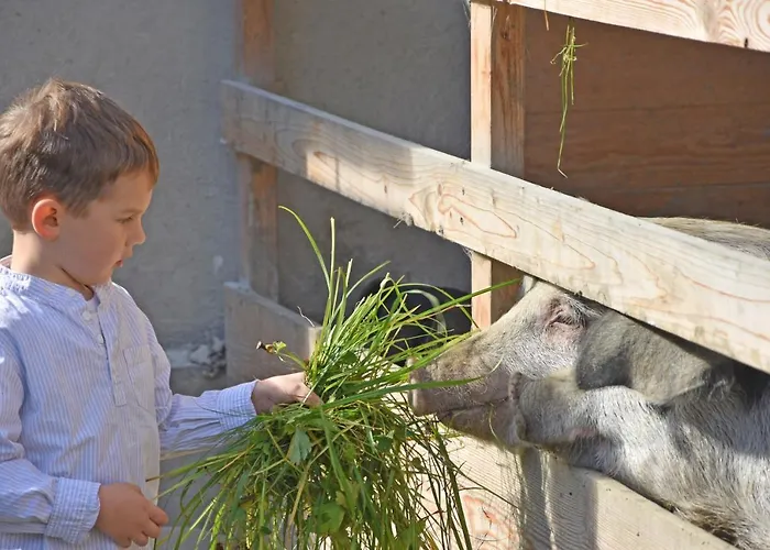 Am Jaukhof Familie Stiendl Neudorf im Sausal