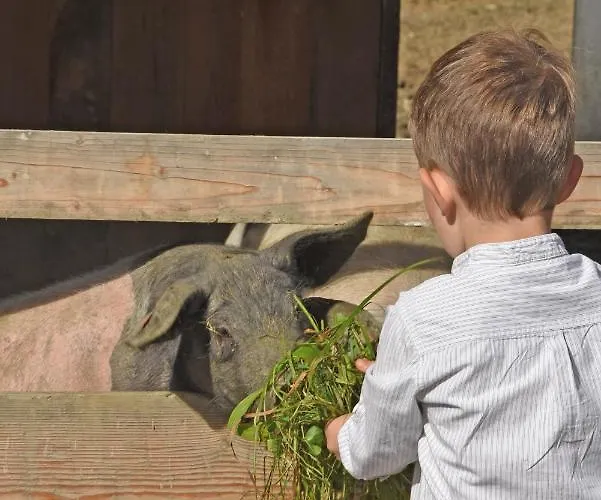 Am Jaukhof Familie Stiendl *