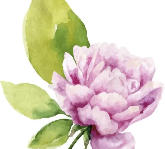 Am Jaukhof Familie Stiendl Lantgård Neudorf im Sausal