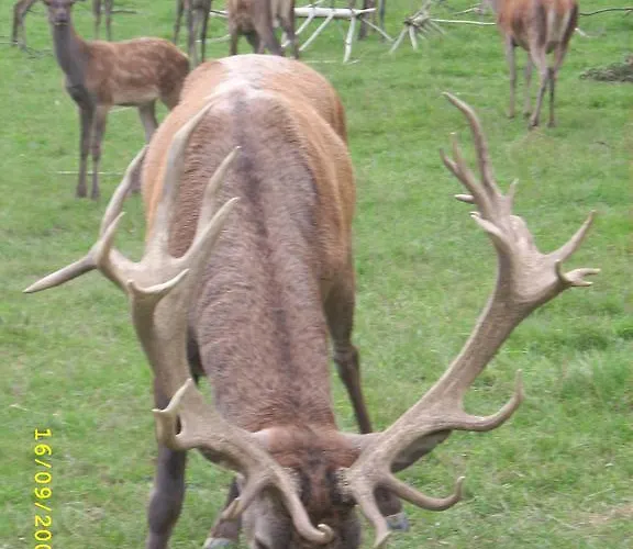 Lantgård Am Jaukhof Familie Stiendl Neudorf im Sausal