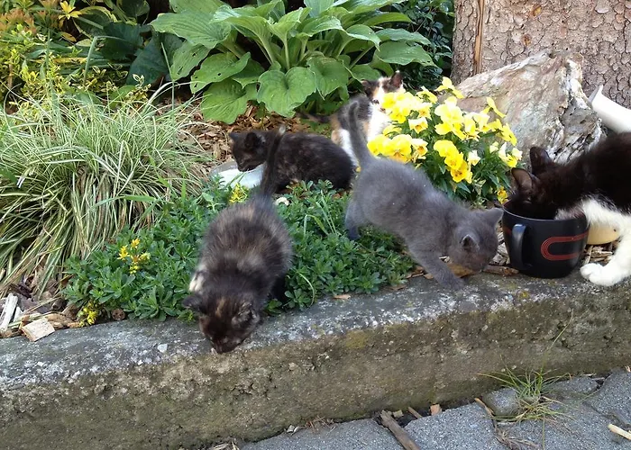 Am Jaukhof Familie Stiendl Lantgård Neudorf im Sausal