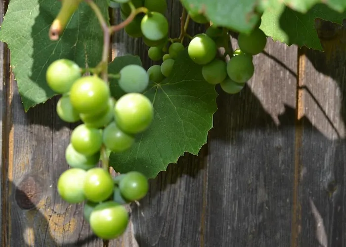 Am Jaukhof Familie Stiendl Lantgård *